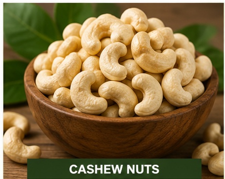 Premium raw cashew nuts presented in a natural jute sack, clean export-quality product photography.
