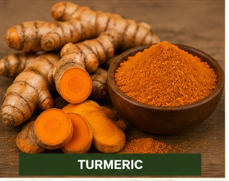 Bright turmeric roots, dried fingers and turmeric powder displayed together.